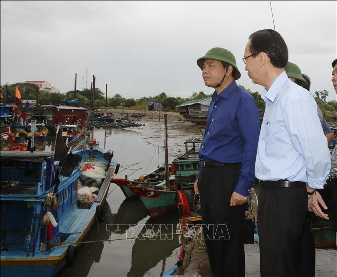 Mengerahkan kekuatan total untuk menanggulangi taufan USAGI - ảnh 1