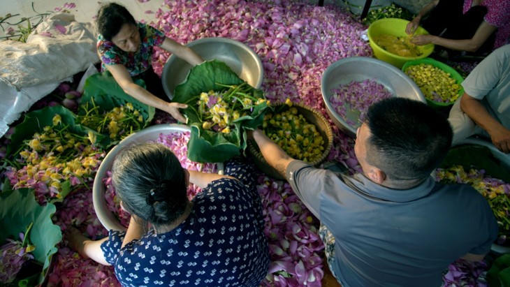 Teh beraroma teratai Danau Tay – Intisari orang Kota Hanoi - ảnh 16