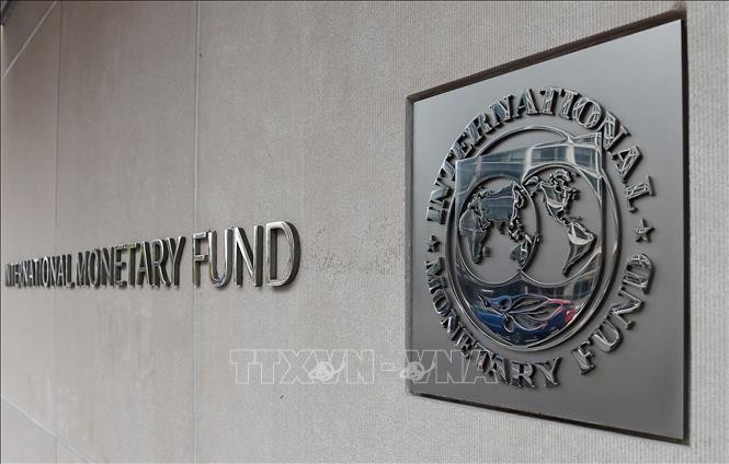 IMF: Wabah Covid-19 mengancam secara serius kestabilan keuangan - ảnh 1