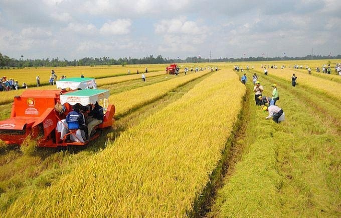 Para anggota MN menyetujui haluan bebas pajak tanah pertanian sebesar sekitar 7,5 triliun VND per tahun - ảnh 1