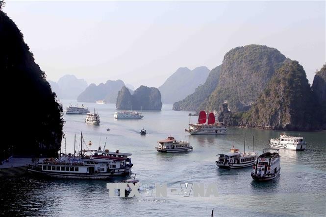 Pariwisata Vietnam: Menerapkan kebijakan stimulasi pariwisata, Provinsi Quang Ninh menyambut kedatangan 1,2 juta wisatawan - ảnh 1