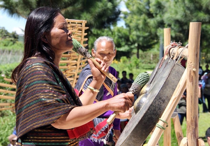 Budaya warga etnis minoritas Chu Ru hidup kembali di tengah-tengah hutan rimba belantara - ảnh 1