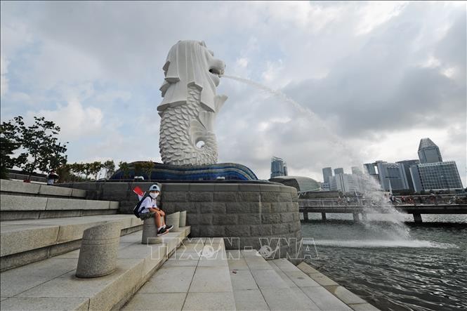 Wabah Covid-19 terus mengalami perkembangan rumit di Singapura, Republik Korea, dan Selandia Baru - ảnh 1