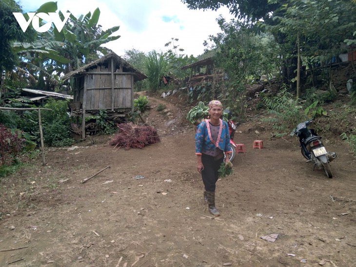 Lù Cở, Perkakas yang Berkaitan dengan Kehidupan Warga Etnis Minoritas Mong di Provinsi Son La - ảnh 2