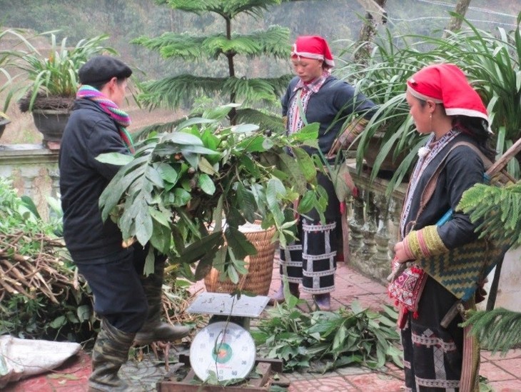 Dari obat mandi tradisional sampai ke merek senilai miliaran VND - ảnh 1