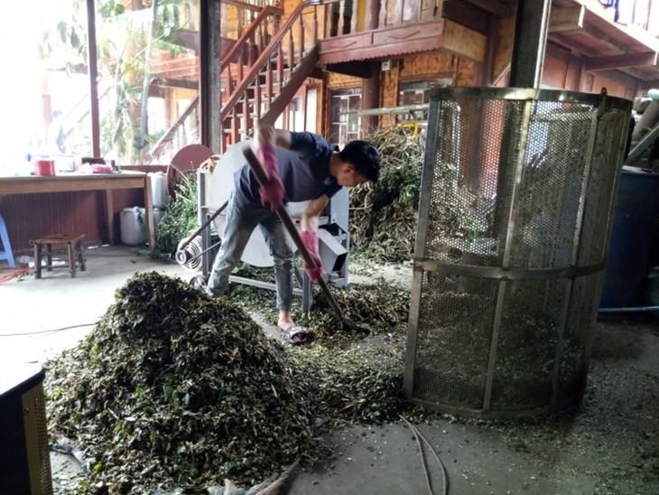 Dari obat mandi tradisional sampai ke merek senilai miliaran VND - ảnh 2