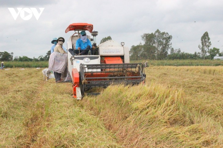 UNDP Tegaskan Komitmen Dampingi Vietnam dalam Pembangunan - ảnh 2