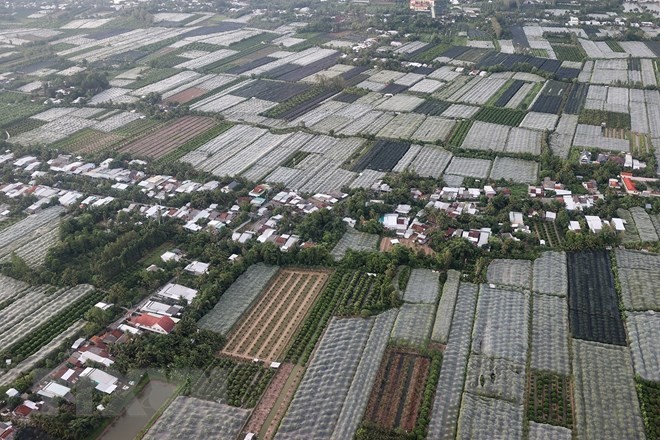 Fokuskan Sumber Daya untuk Kembangkan Daerah Dataran Rendah Sungai Mekong - ảnh 1