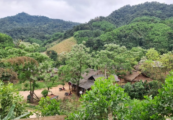 Provinsi Quang Binh berfokus pada pengembangan sosial-ekonomi di daerah pegunungan - ảnh 1