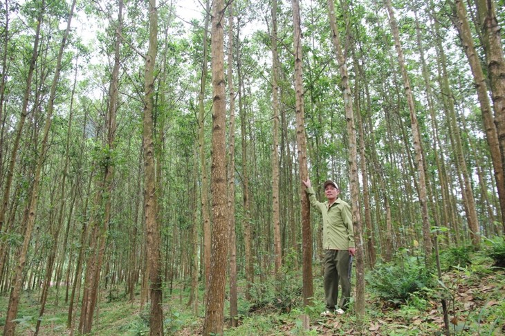 Provinsi Quang Binh berfokus pada pengembangan sosial-ekonomi di daerah pegunungan - ảnh 2