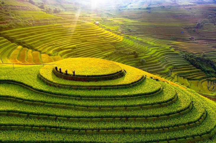 Memperkenalkan keindahan sawah terasering di Mu Cang Chai dan gua Son Doong - ảnh 1