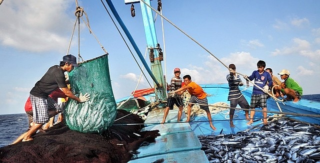 Vietnam Menentang Eksploitasi Hasil Perikanan Ilegal, Bertekad Menghapus Peringatan “Kartu Kuning” - ảnh 1