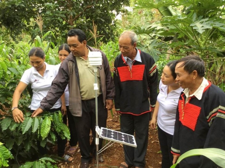 Warga Etnis-Etnis di Provinsi Dak Lak Mengubah Kebiasaan Dalam Produksi Pertanian - ảnh 1