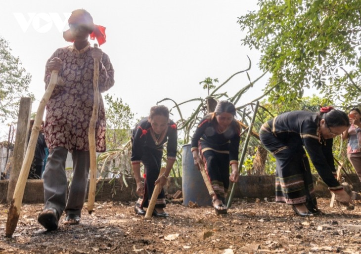 Upacara Memohon Hujan dari Warga Etnis Minoritas E De di Kota Buon Ma Thuot, Provinsi Dak Lak - ảnh 1