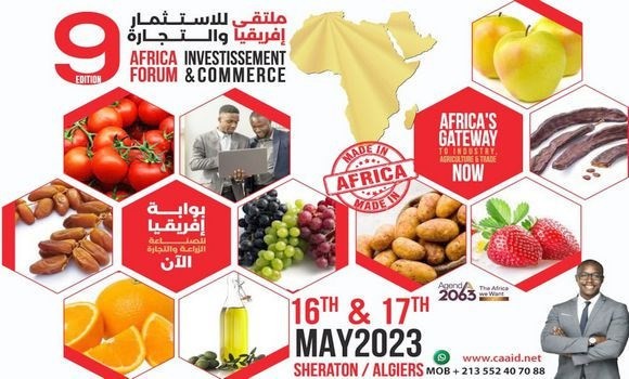 Menyosialisasikan Barang Vietnam pada Forum Perdagangan dan Investasi Afrika - ảnh 1