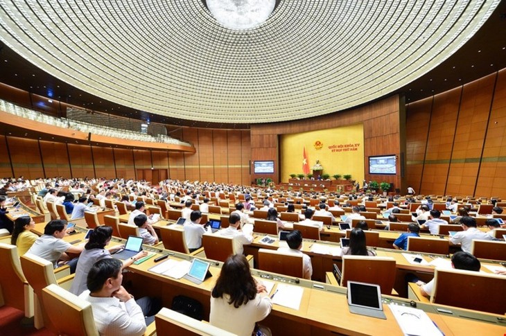 MN Melakukan Pengawasan Tertinggi Atas Penggunaan Sumber Daya untuk Pencegahan dan Penanggulangan Pandemi Covid-19 - ảnh 1