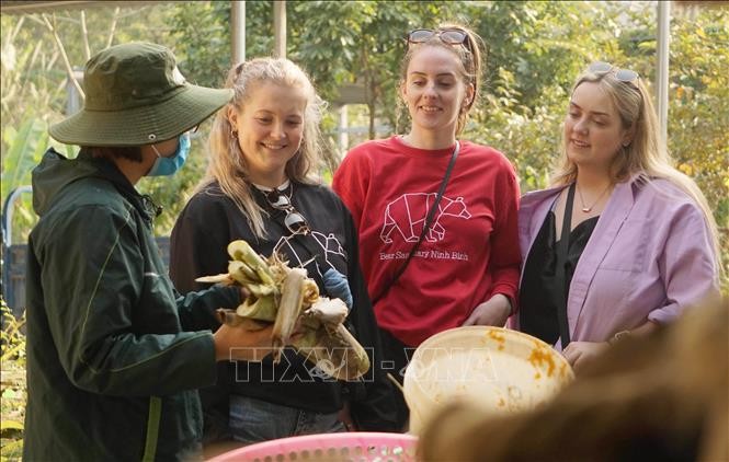 Kedatangan Wisman di Vietnam Mencapai 83% dari Rencana Tahun 2023 - ảnh 1