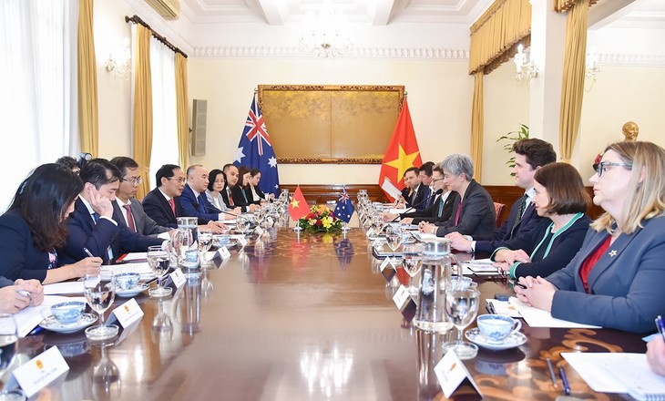 Konferensi ke-5 Menlu Vietnam-Australia - ảnh 1