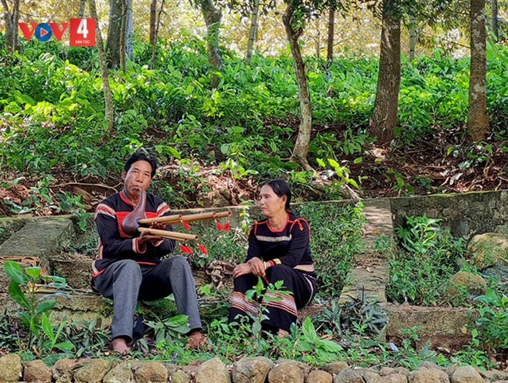 Provinsi Dak Lak Melestarikan Warisan Budaya Warga Etnis Minoritas Ede - ảnh 1