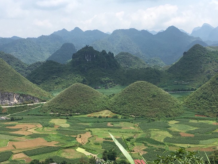 Taman Bumi Global UNESCO Dong Van – Menetapkan Brand Pariwisata Ha Giang - ảnh 2