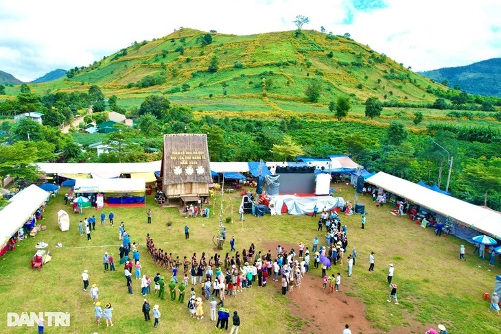 Bunga Kipait Berwarna-warni di Gunung Berapi Chu Dang Ya - ảnh 8