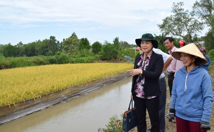 Musim Semi Tiba di Pesawahan Padi dan Udang - ảnh 1