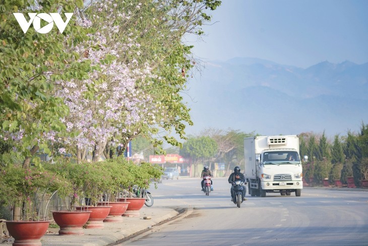 Tampilan Baru Kota Dien Bien Phu Setelah 70 Tahun Pembebasan - ảnh 20