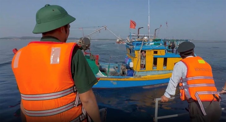 Provinsi Quang Ngai Siap Menyambut Tim Inspeksi Komisi Eropa untuk Lakukan Inspeksi ke-5 - ảnh 1