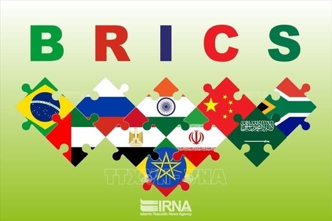 Azerbaijan Ajukan Surat Permintaan Bergabung pada BRICS - ảnh 1