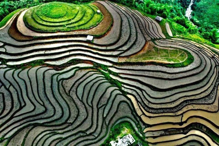 Ha Giang - Destinasi Budaya Regional Terkemuka di Asia - ảnh 2