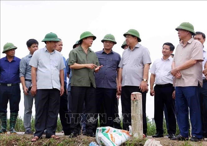 Cepat Mengatasi Akibat Topan dan Banjir, Cepat Menstabilkan Kehidupan Warga - ảnh 1