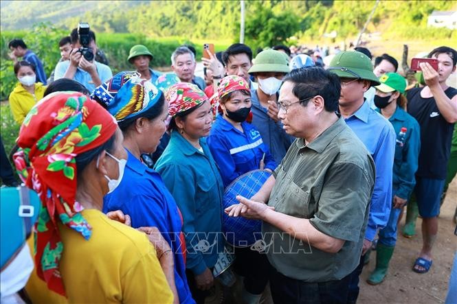 Perkenalan Buah Pir di Vietnam - ảnh 1