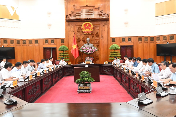 PM Pemerintah Memimpin Rapat Badan Harian Pemerintah tentang Penjaminan Pemasokan Listrik - ảnh 1