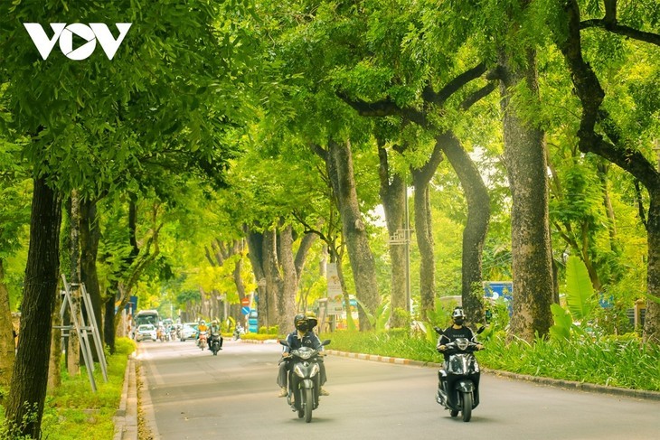 Keindahan Lembut Musim Gugur di Kota Hanoi - ảnh 1