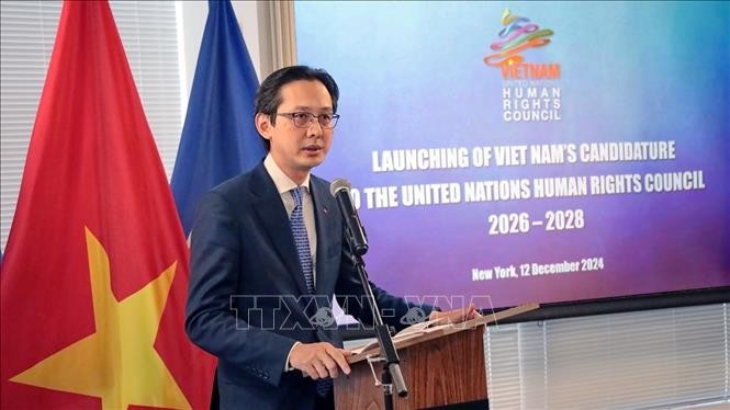 Vietnam Umumkan Pencalonan Kembali pada Dewan HAM PBB Masa Bakti 2026-2028 - ảnh 1