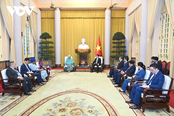 Vietnam Merupakan Anggota Aktif dan Bertanggung Jawab dari Komunitas Internasional - ảnh 4