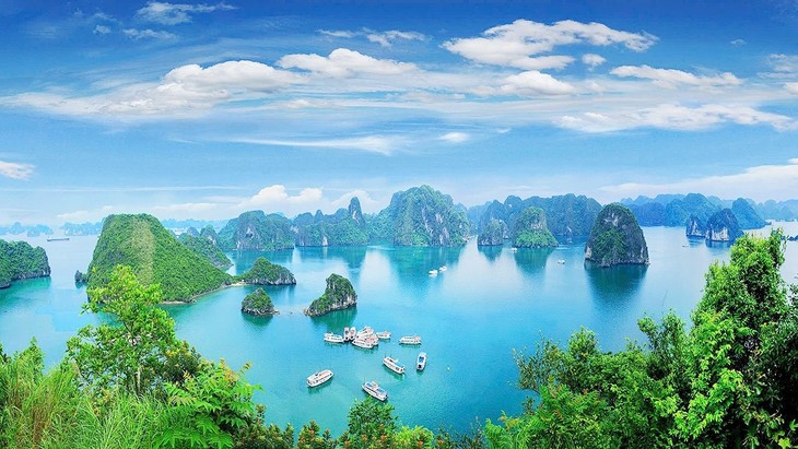 Festival Film Cannes 2025: Vietnam – Destinasi Baru yang Menarik bagi Para Pembuat Film Internasional - ảnh 1