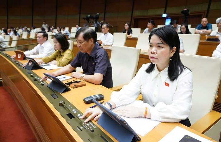 MN Vietnam Sahkan Beberapa UU - ảnh 1