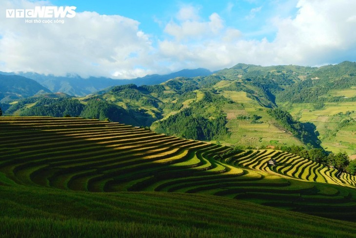 Menjelajahi Musim Padi Menguning yang Damai di Desa Hang Dang De, Provinsi Lao Cai - ảnh 3