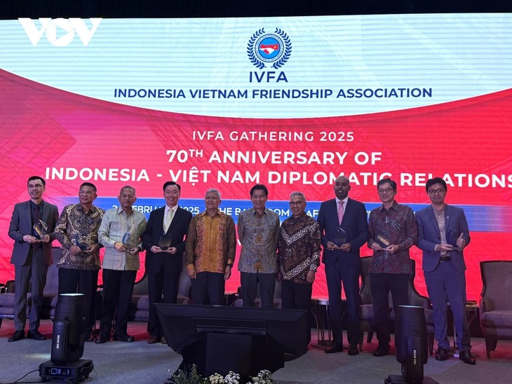 Vietnam-Indonesia: 70 Tahun Kerja Sama demi Kemakmuran dan Solidaritas Masyarakat - ảnh 2