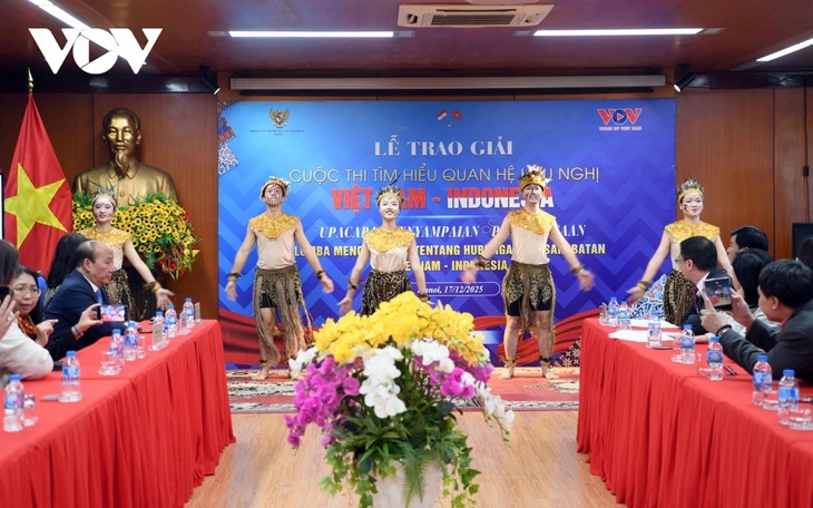 Vietnam-Indonesia: 70 Tahun Kerja Sama demi Kemakmuran dan Solidaritas Masyarakat - ảnh 5