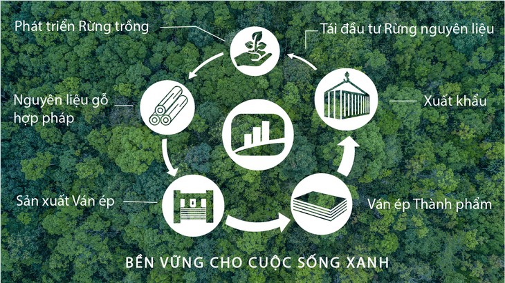 Musim Semi Aspirasi Vietnam yang Terintegrasi - ảnh 4