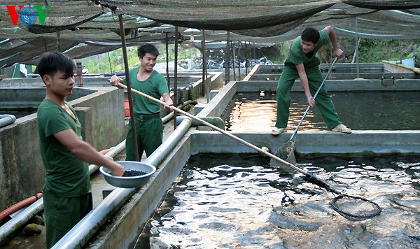 Can Tho hosts international Vietnam Aquaculture Expo and Forum 2017 - ảnh 1