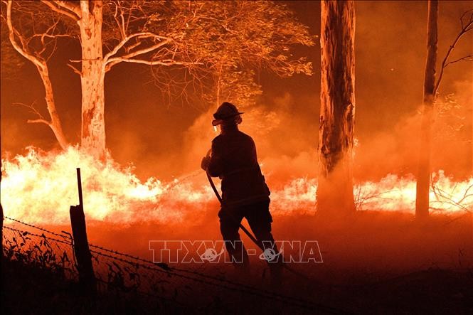 Australian bushfires: New Zealand sends reinforcements - ảnh 1