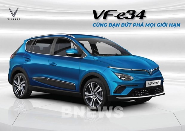 VinFast puts new electric vehicle model on market - ảnh 1