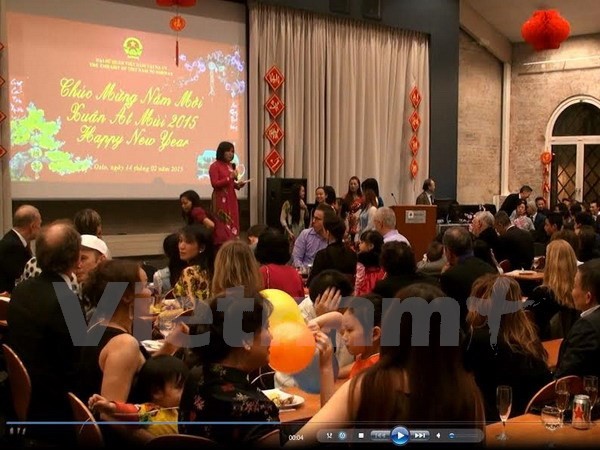 Вьетнамцы в зарубежных странах празднуют Новый год по лунному календарю - ảnh 1