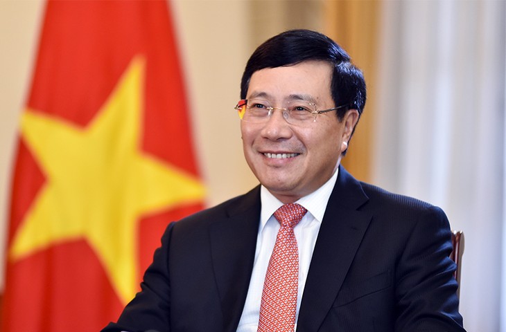 Вьетнам вносит активный вклад в обеспечение международного мира - ảnh 2