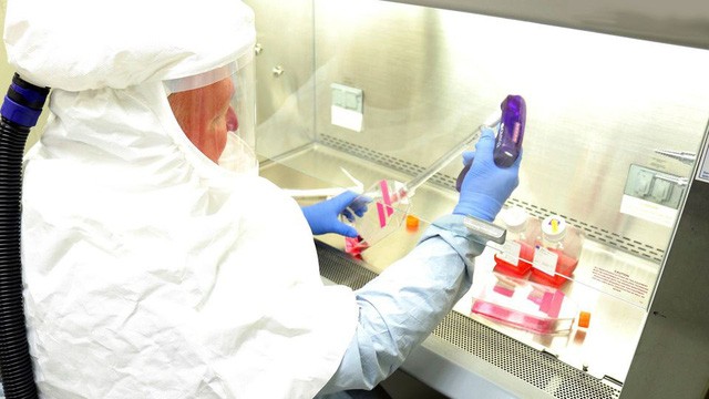 Россия начала испытания вакцины против коронавируса - ảnh 1