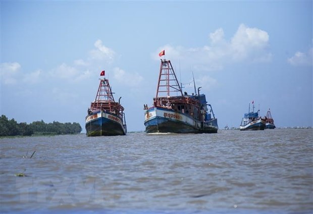 Ассоциация рыболовецких артелей Вьетнама выразила протест против введённого Китаем запрета на лов рыбы в Восточном море - ảnh 1
