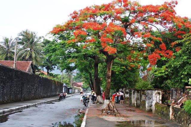 Côn Đảo thu hút người trẻ đến lập nghiệp - ảnh 1